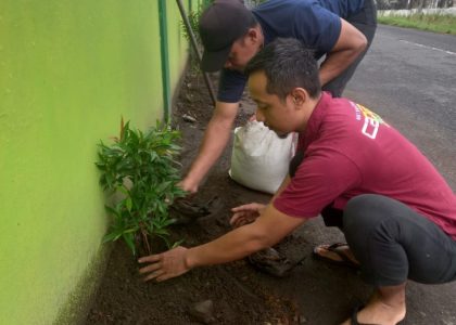 MAN 1 Bantul Laksanakan Pelestarian Lingkungan Menuju Madrasah Adiwiyata dengan Penanaman Pucuk Merah