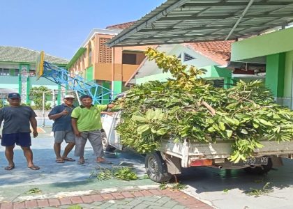 Jaga Kenyamanan Lingkungan Belajar, Petugas Kebersihan MAN 1 Bantul Lakukan Pemangkasan Dahan dan Ranting di Area Madrasah